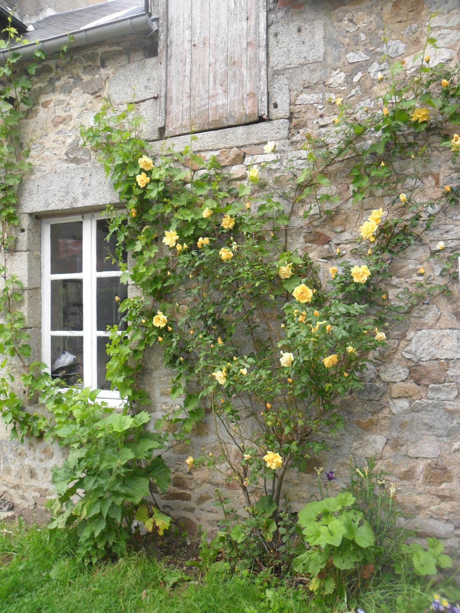 Les Hautes Loignieres Pre-en-Pail-Saint-Samson Exterior foto